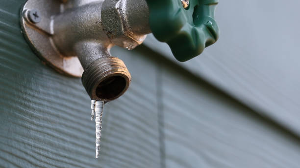 Best Plumbing Services Near Me  in Clintondale, NY